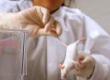 Organisations Against Animal Testing