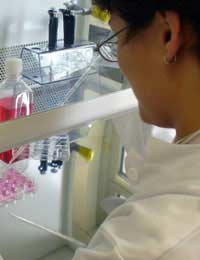 Animal Testing Uses Biomedical Research