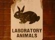 Food Production and Animal Testing