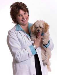 Animal Testing Veterinary Medicine