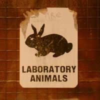 Animal Testing Food Hygiene Safety