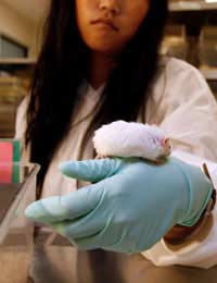 Laboratory Inspections Animal Testing