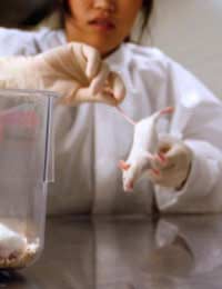 Animal Testing Informed Choice Get