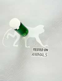 Animal Testing Project License Process